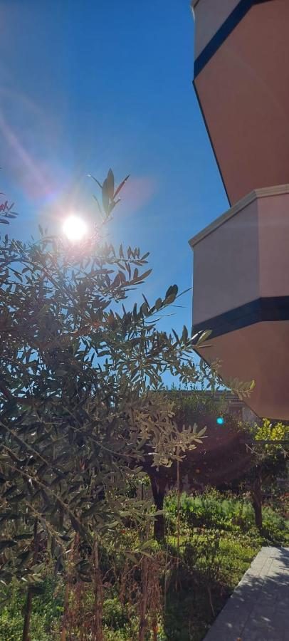 Appartamento L'Ulivo Brancaleone Marina Kültér fotó