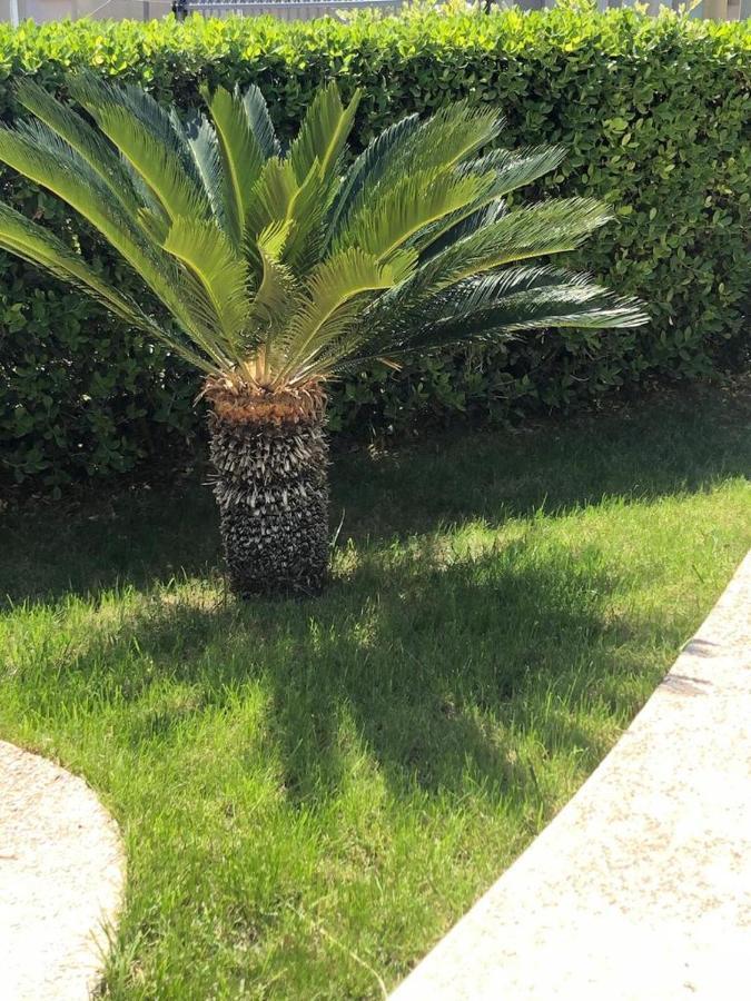 Appartamento L'Ulivo Brancaleone Marina Kültér fotó